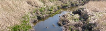  Erosjonssikring i bekker og kanaler i jordbrukslandskap