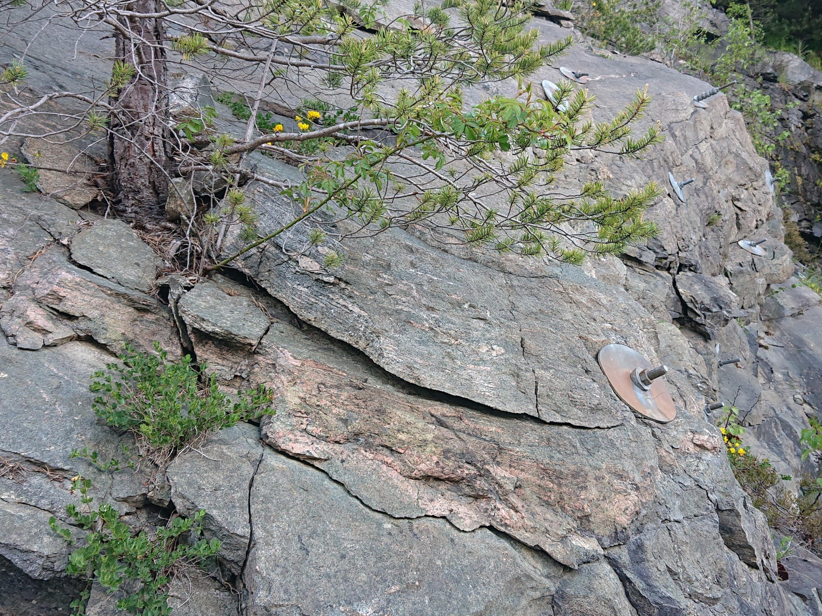  Sikringsbolter og stag – FDV