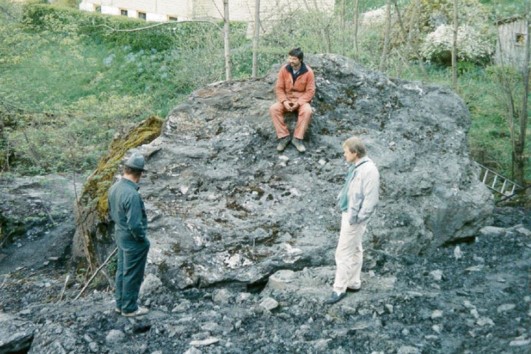 Fyllittblokk som løsnet fra løsmassene i fjellsiden i Flåmsdalen og kom ned ved bolig (1990) (Foto: U. Domaas, NGI).