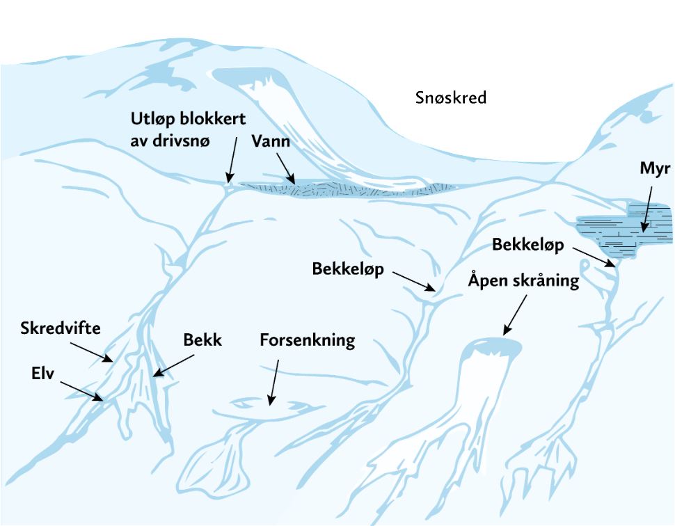 Figur 1: Mulige løsne- og utløpsområder for sørpeskred. Figur: modifisert etter NGI.